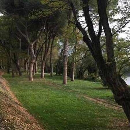 Pisa Appartamento Bonaini 外观 照片