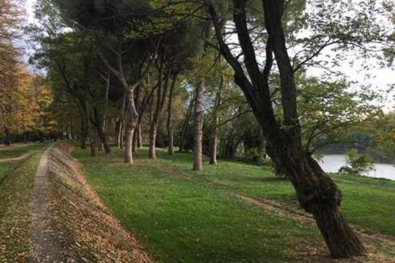 Pisa Appartamento Bonaini 外观 照片